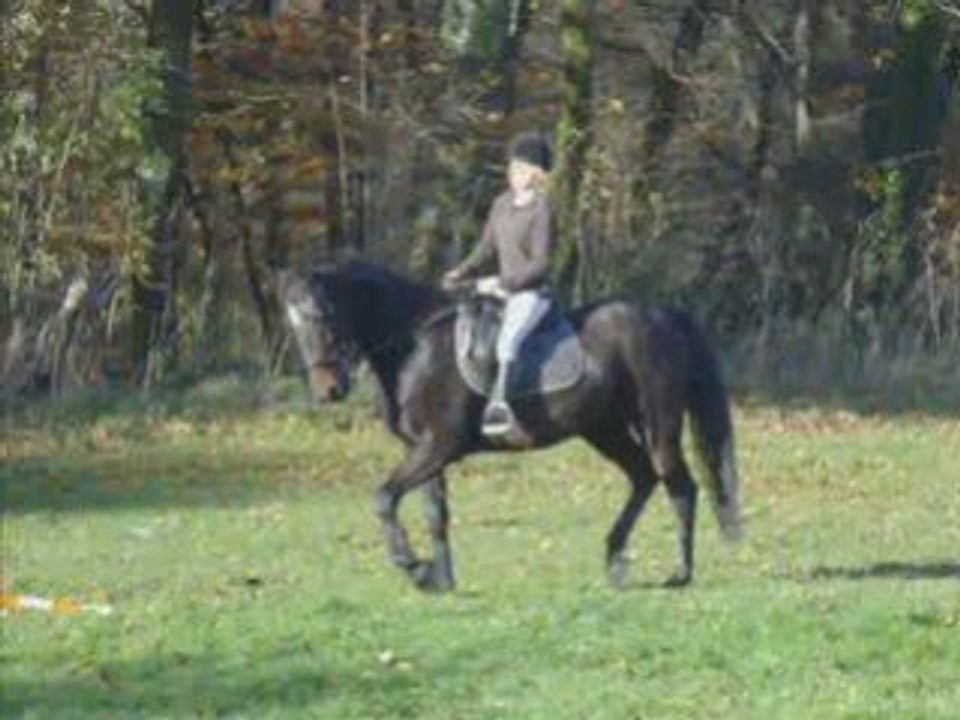 un peu de dressage with plouf =D