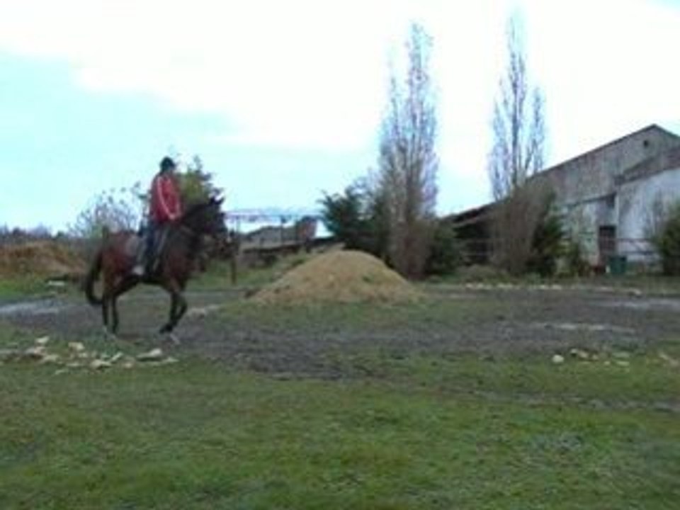 Lo_15-11-08