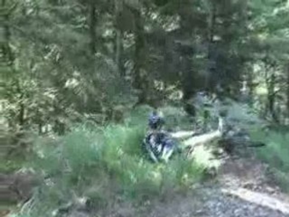 Fréd chute