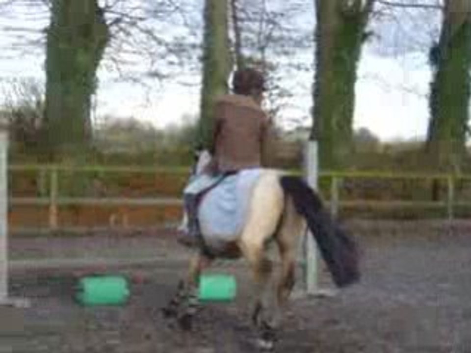 11.08 quidditsh et annabel