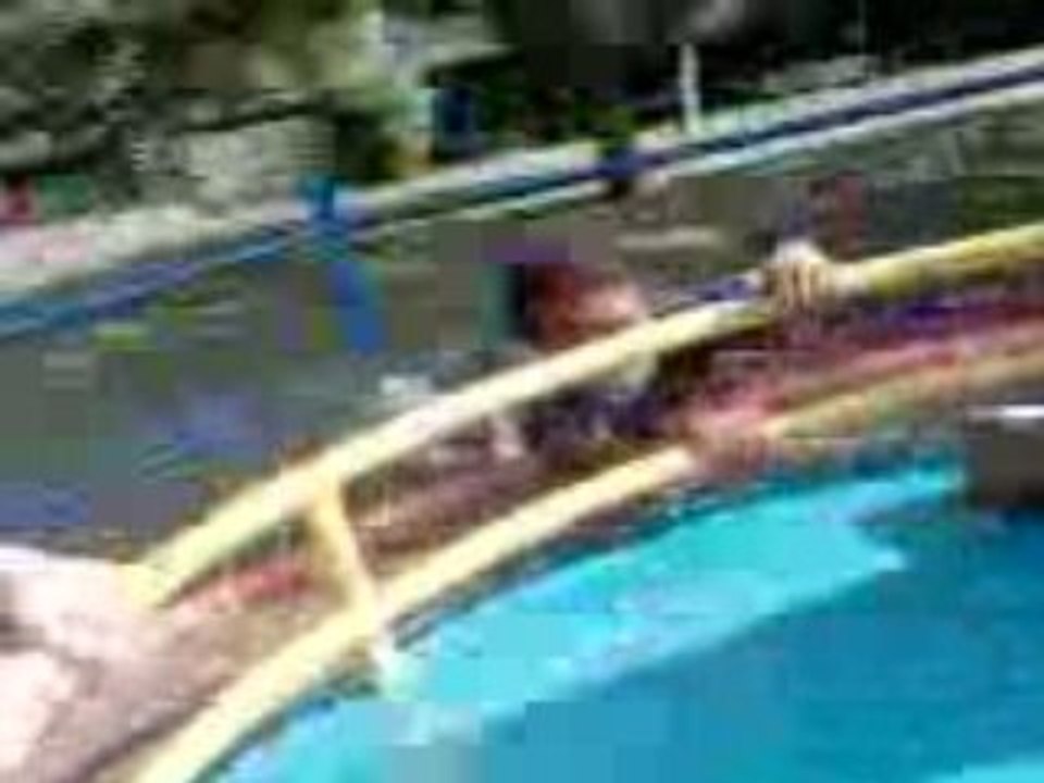 Video_5