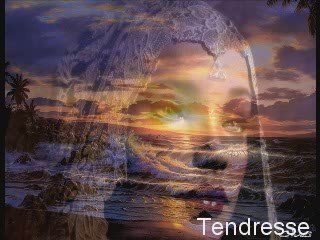 DOUCEUR  ET TENDRESSE