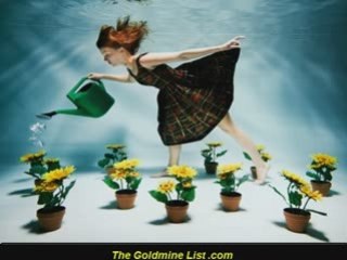 Email Marketing: The Money is in the List