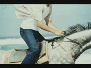 Passion équitation