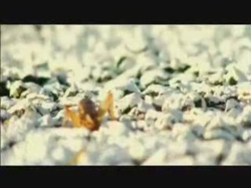 Tocadisco - Streetgirls (tocadisco remix) official video