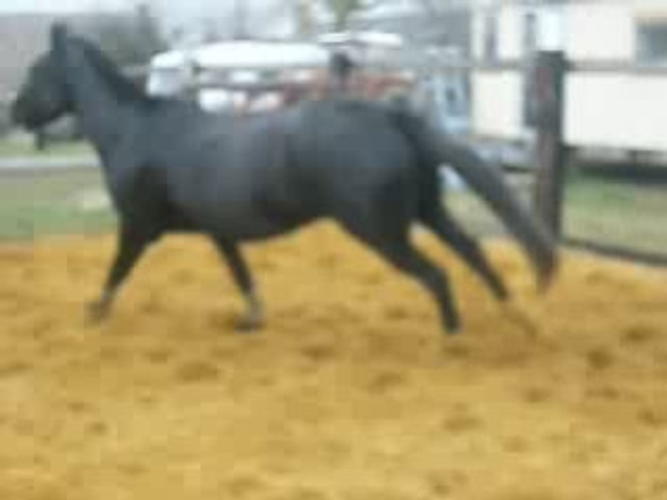 Rizling