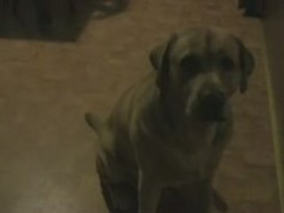 Sam