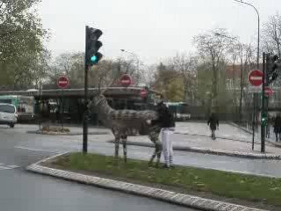 marvin et le CEERRF, une longue histoire...