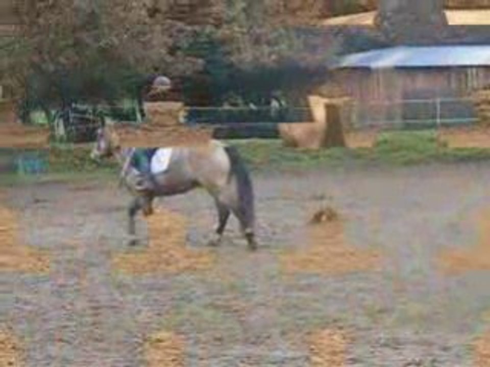 Ponam séance 15.11.08