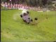 F1 crash  - De Cesaris fait plusieurs tonneaux en Autriche