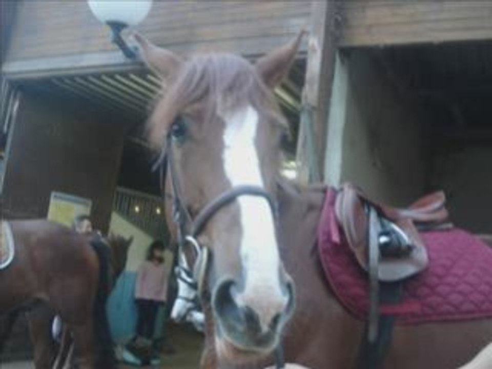Nos ael . ♥