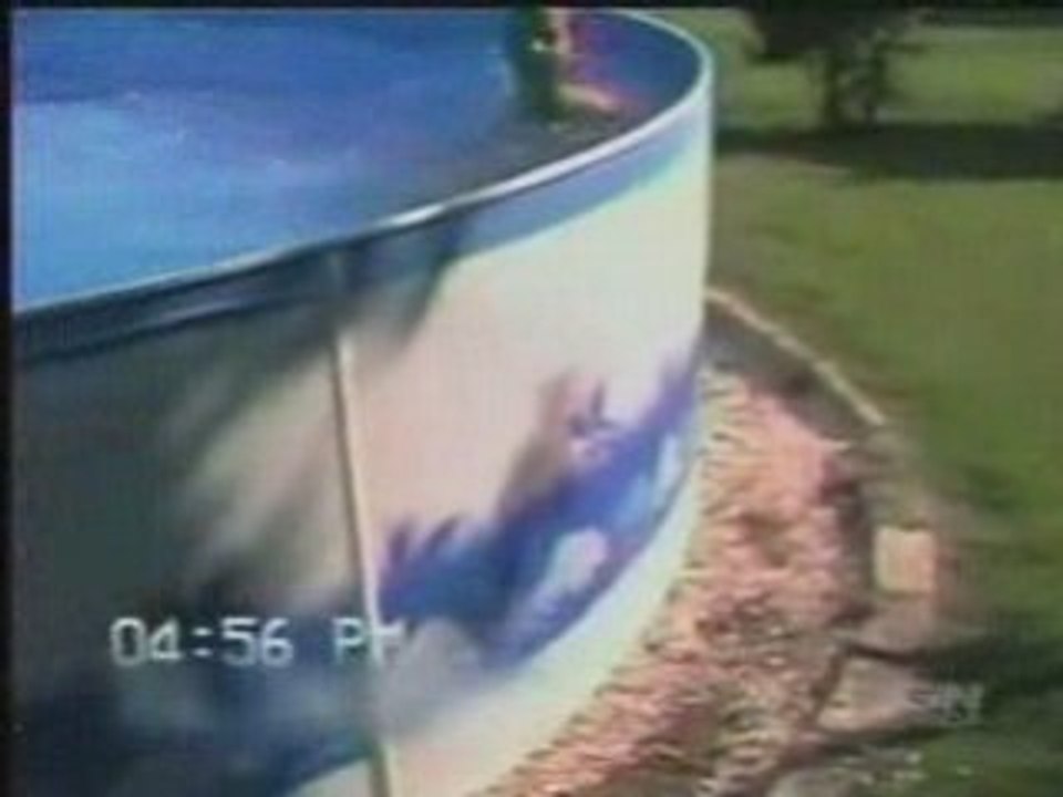 AFV November Show 2 Part 1
