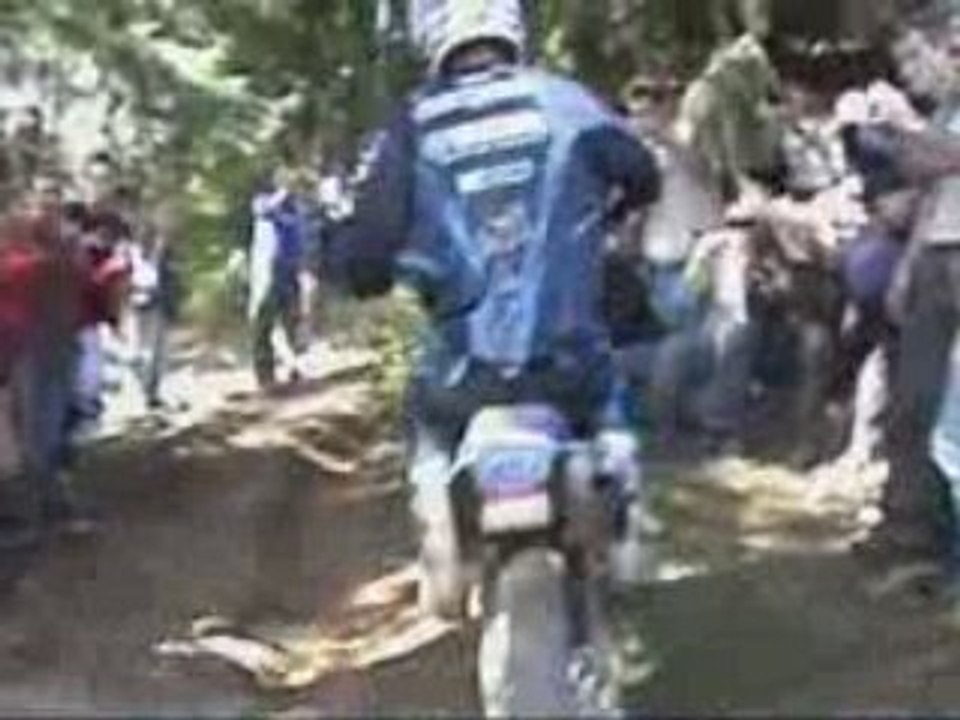 [ENDURO] WEC 2008 Johnny AUBERT Champion [Goodspeed]