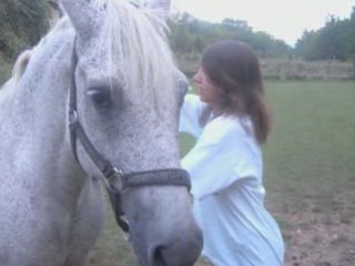 Hommage a mon cheval