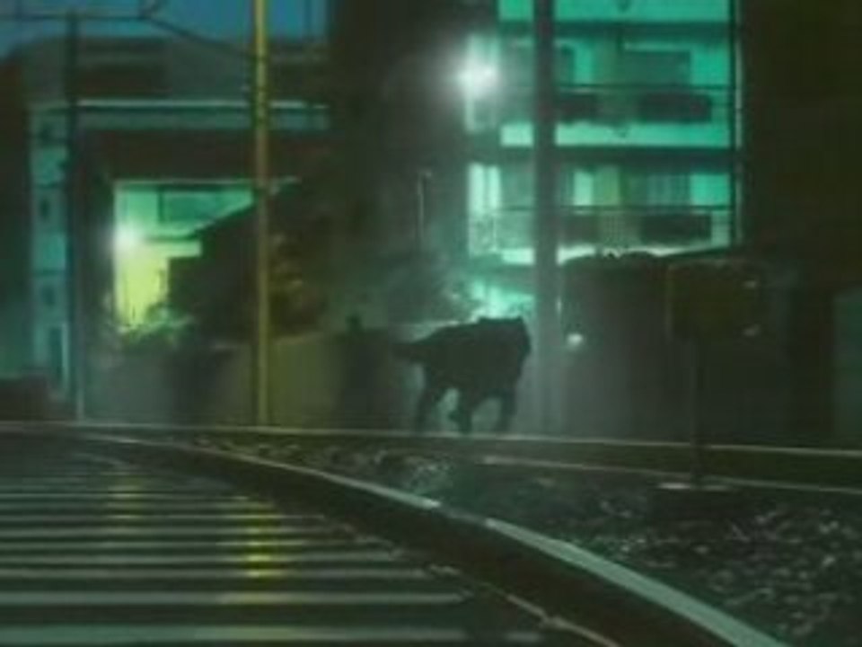 Wolf' rain - stray