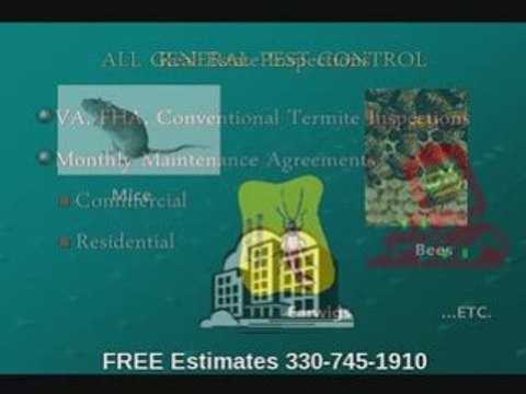 Control insects, termites & other pests in Akron Oh