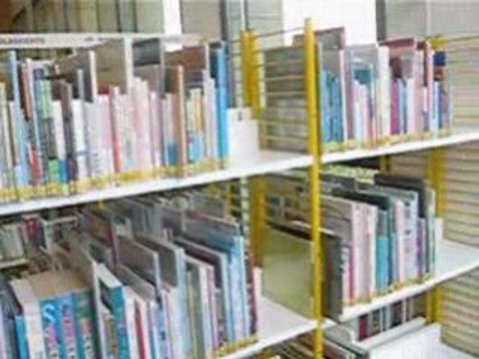 Robin à la médiathèque