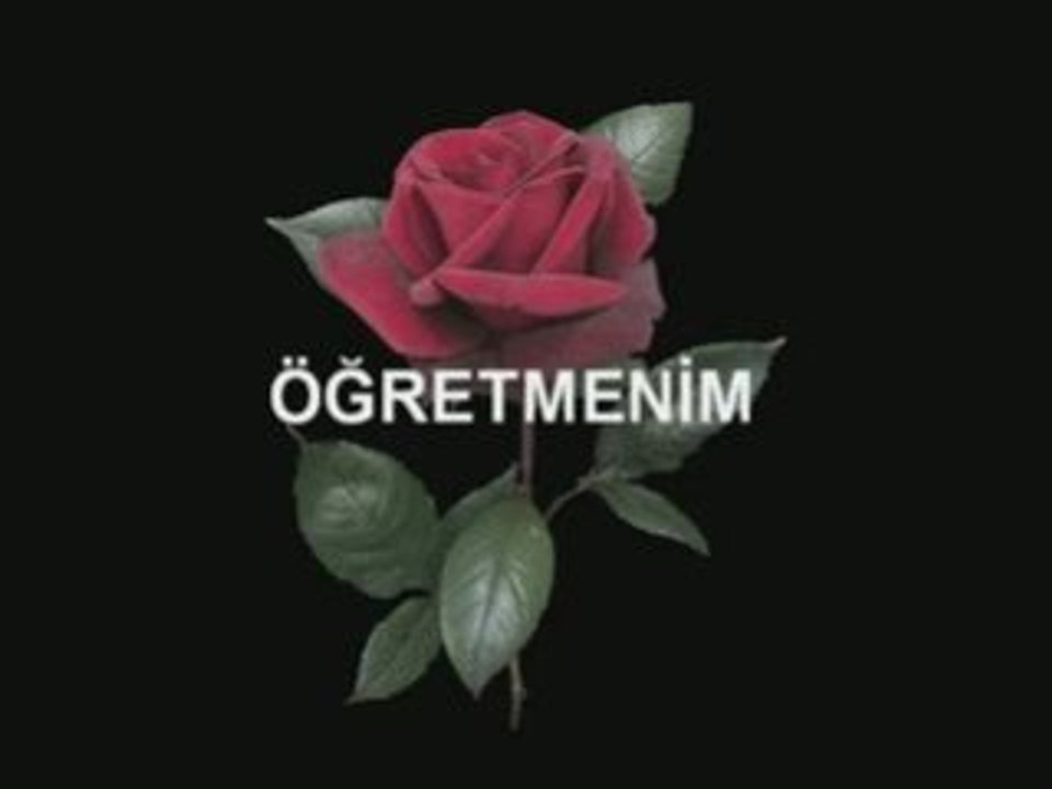 Ogretmenim