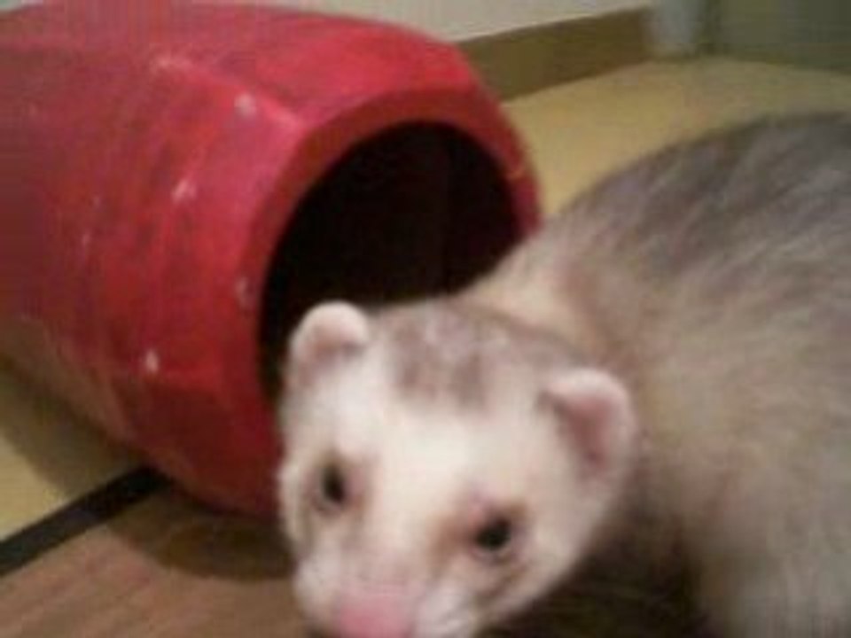 Ranger ses jouets selon Dickson lol