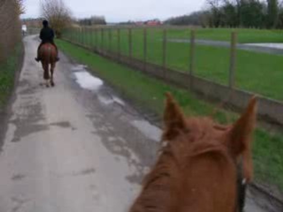 balade 15 novembre 3