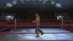 Smackdown vs RAW 2009 Countdown : Shawn Michaels the HBK