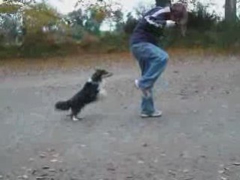 Saut entre les jambes