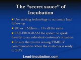 Lead Incubation tutorials and automated marketing campaigns