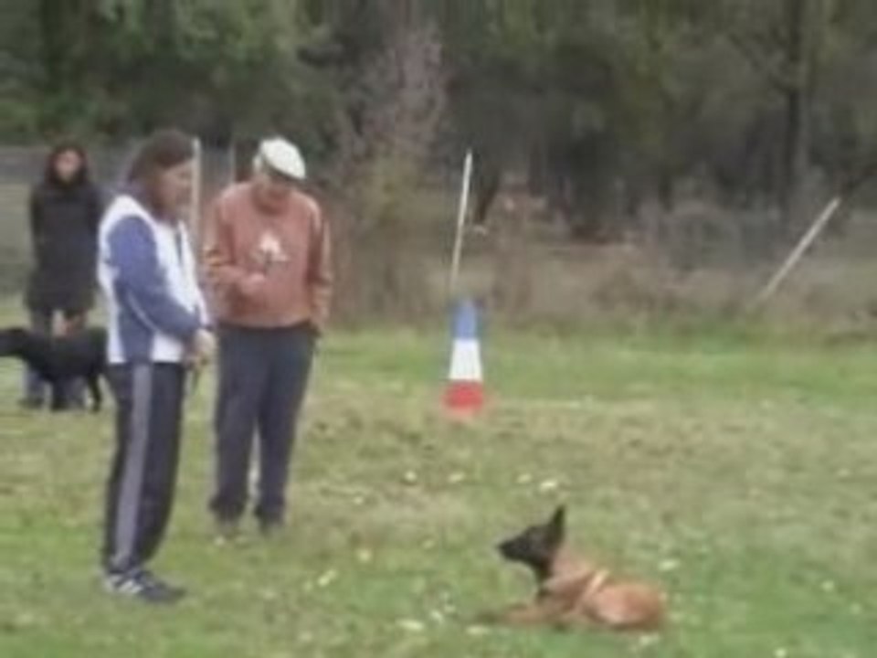 Absence Diuke  4 mois