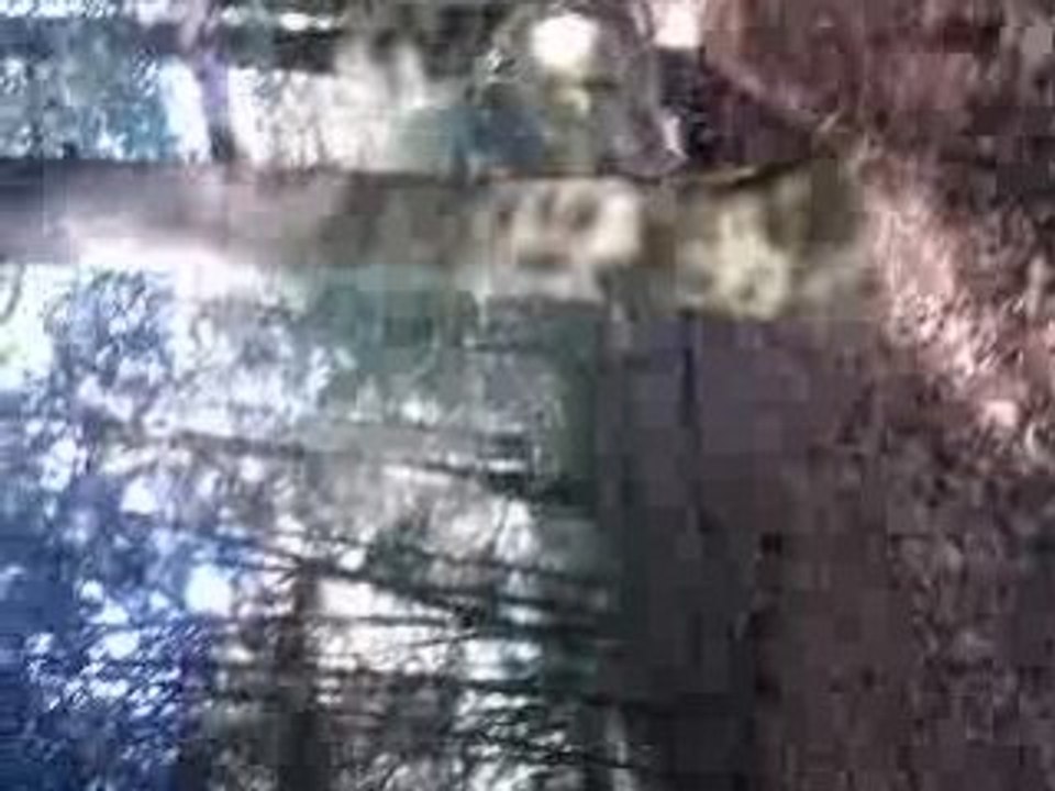 SVM_A0014