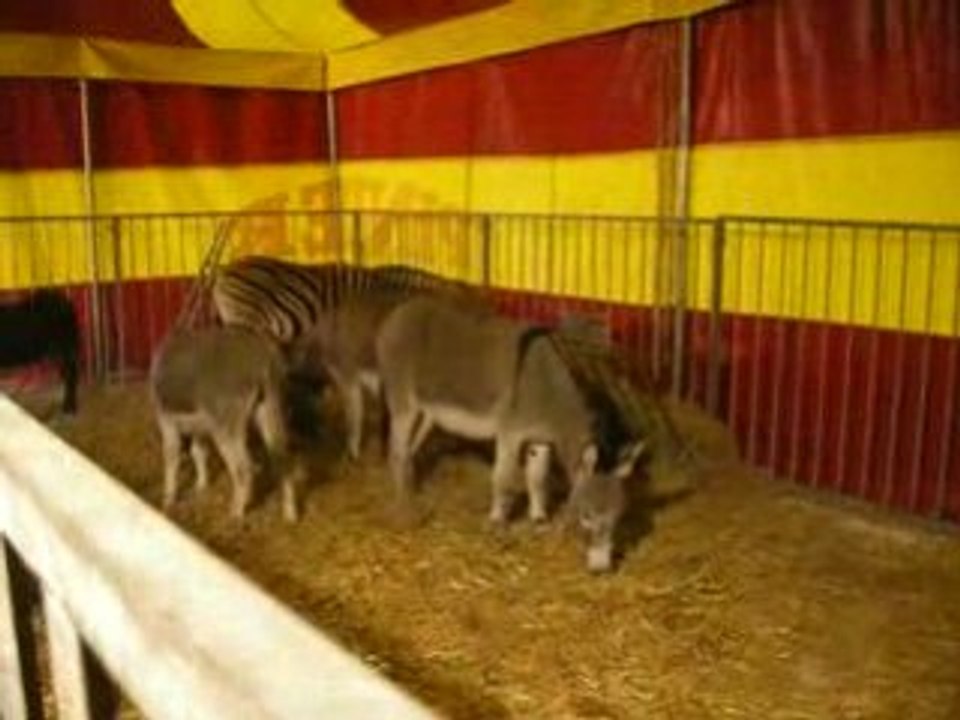 Pinder 2008 1