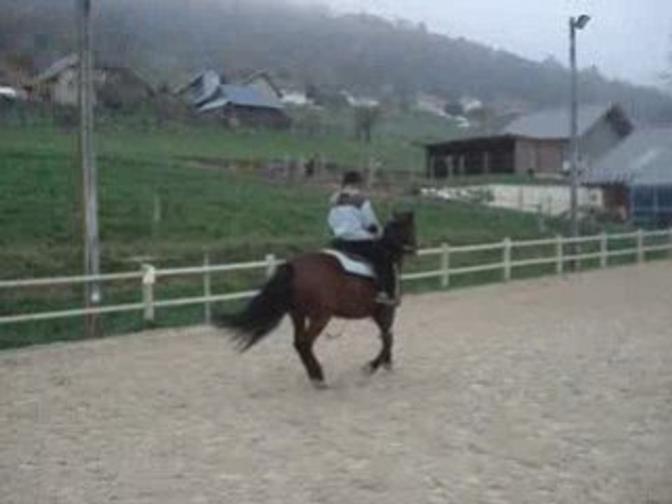 Petit TREC 2