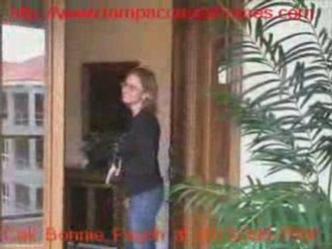 Tampa Finest Luxury Villas