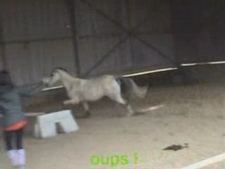 Saut 1m20 en liberté