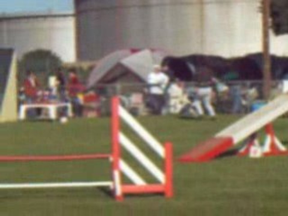 1er degre Brooklyn (suite)