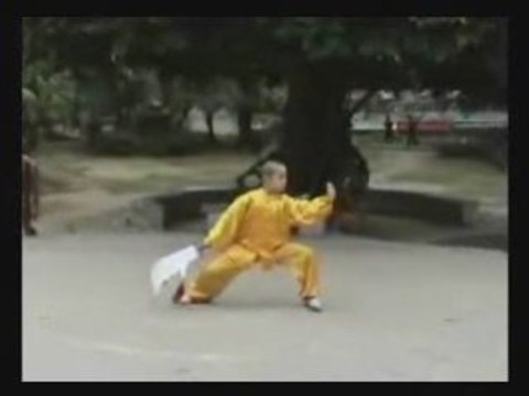 Taiji Style Chen : Etudiant de Wang Xian, Halebarde