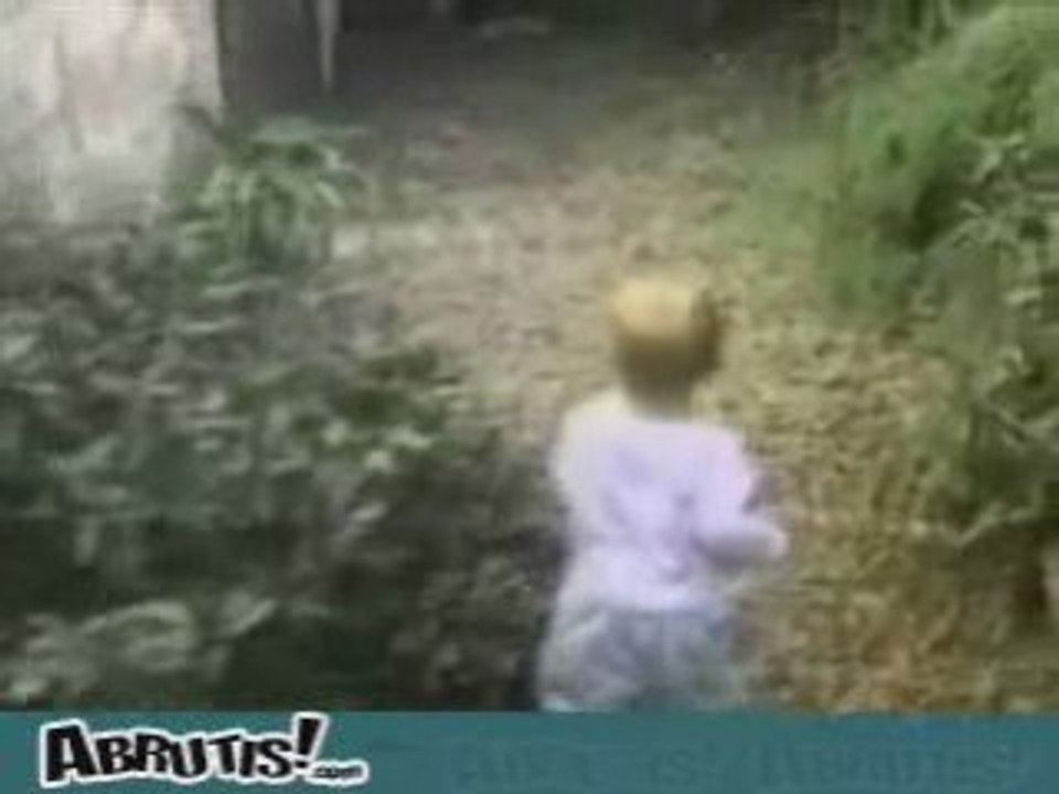 Compilchats