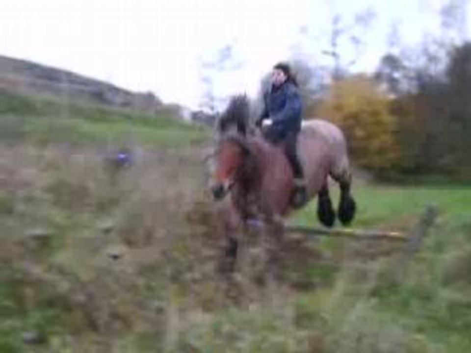 Iro en saut