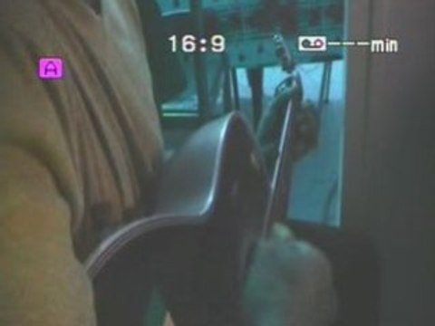 Amitie Jomusic/ atalozur