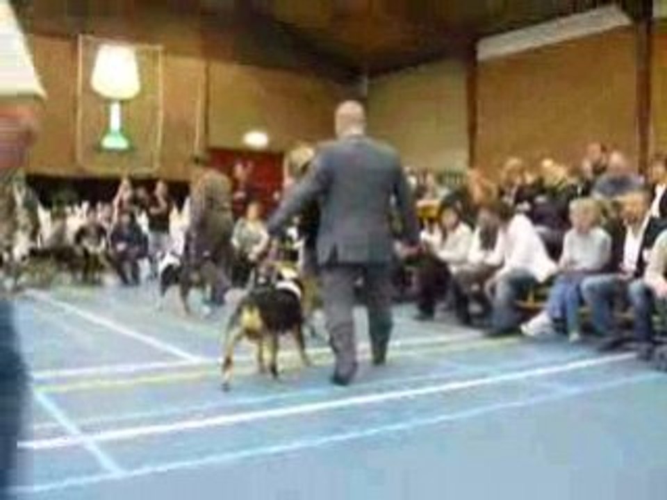 Dutch trophy show 2008(1)