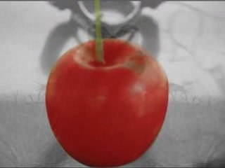 Le temps des Cerises, Noir Désir