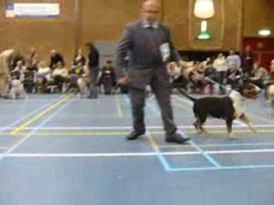 DUTCH TROPHY SHOW 2008(2)