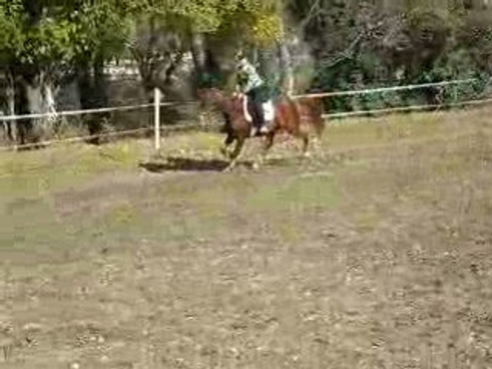 Saut 15 nov 2008