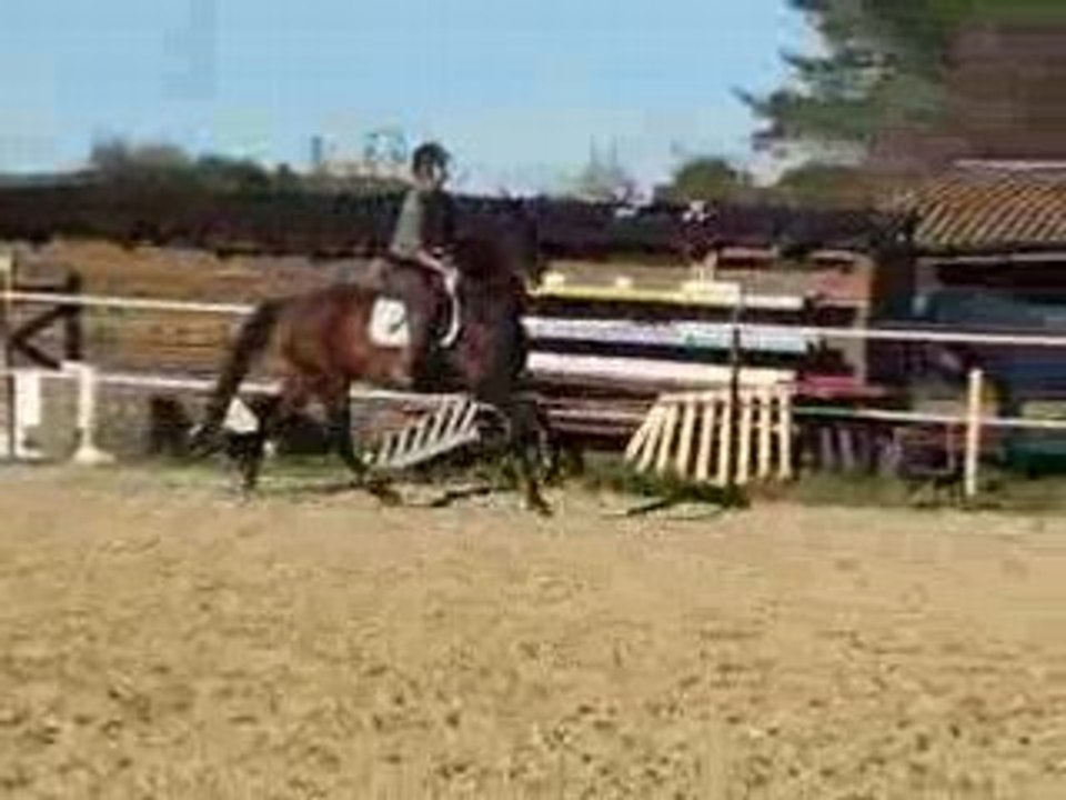 Claire et Nino : saut le 16 novembre 2008