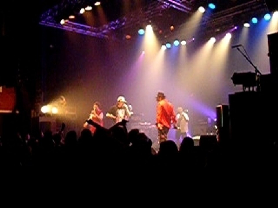 161108 - Concert des Svinkels - Vite fait mal fait