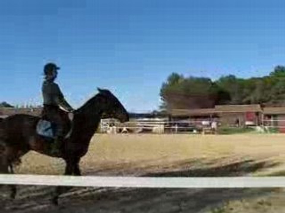 Claire et Nino : saut le 16 novembre 2008