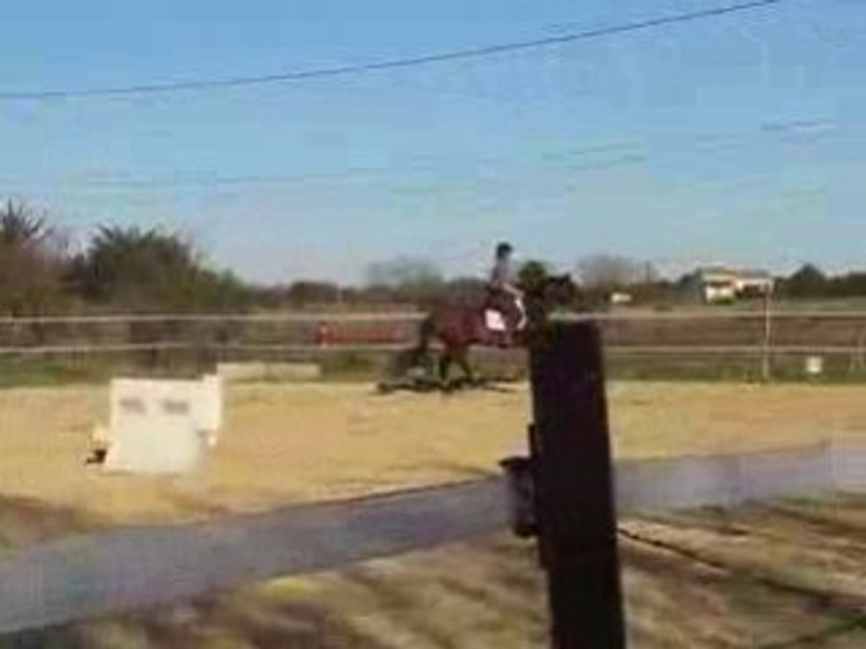 Claire et Nino : saut le 16 novembre 2008