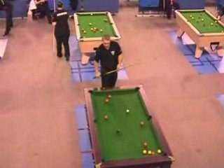 Titi à Joué Les Tours