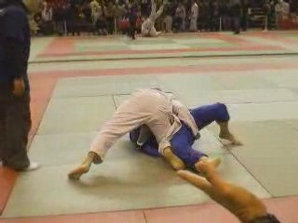 Tito ifobjj combat ceintures violettes