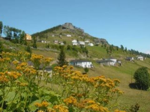 AGASAR HORONU AGASARLI TALIP