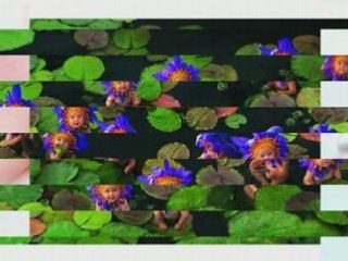 BEBES sont'ils pas mignons